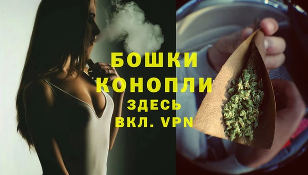 молекула духа Зеленодольск