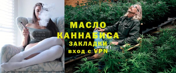молекула духа Зеленодольск