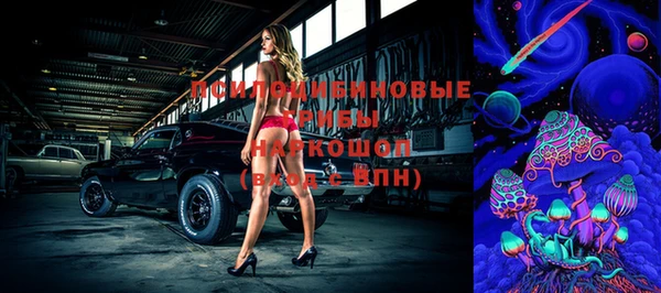 spice Зерноград