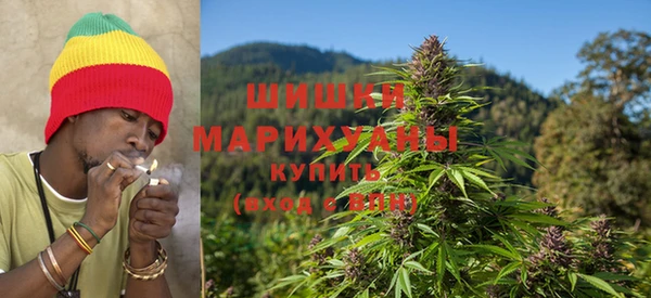 молекула духа Зеленодольск