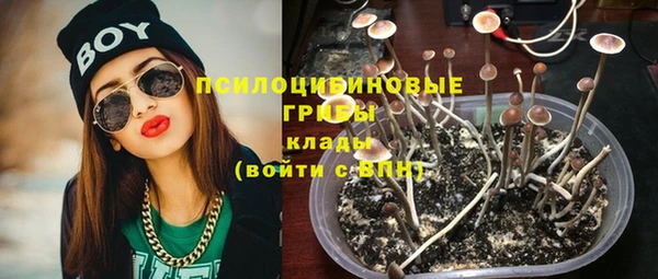 молекула духа Зеленодольск