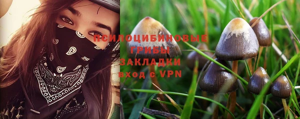 молекула духа Зеленодольск