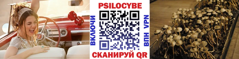 Купить закладки Невинномысск Псилоцибиновые грибы Psilocybe
